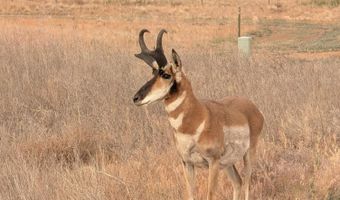 1455 S Lakeshore Dr, Chino Valley, AZ 86323