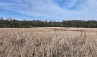 County Road 450 N, Albion, IL 62806