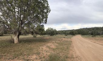302-17 306 Haywire Rd, Ash Fork, AZ 86320