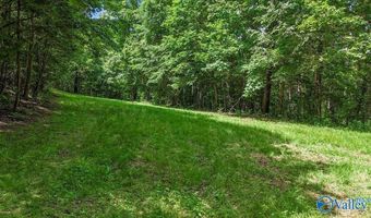 Unit # 0 Murphree Valley Road, Altoona, AL 35952