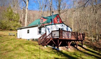 339 Mountain Lake Rd, Andes, NY 13731