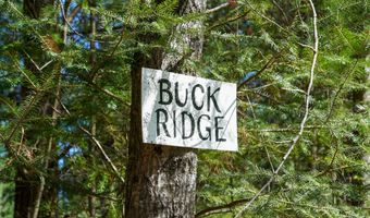 5840 Wildwood Rd, Alger, MI 48610