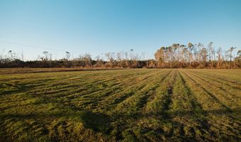 0 Chesapeake Rd Lot 3, Alma, GA 31510