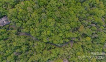 000 Buena Vista Dr 25, Barnardsville, NC 28709