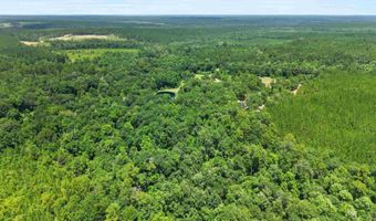 3470 Bell Fork Rd, Atmore, AL 36502