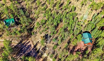 12 W Pergatory Dr, Alpine, AZ 85920