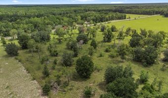 TBD 10th St, Bell, FL 32619