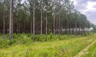 2423 B East Lincoln Rd, Brookhaven, MS 39601