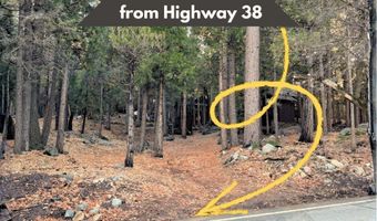 12 Barton Flats Rd, Angelus Oaks, CA 92305