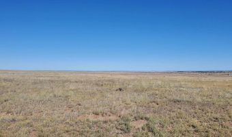 23 County Road 6030, Concho, AZ 85924