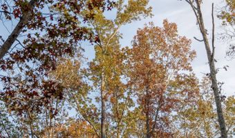 257 W Chapman Rd, Belton, SC 29627