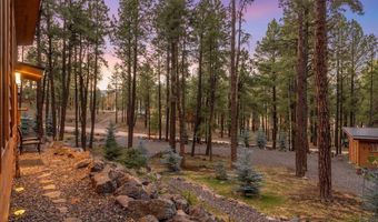 24 County Rd 2267, Alpine, AZ 85920