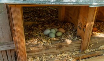 1827 Waterway Dr, Baker, FL 32531