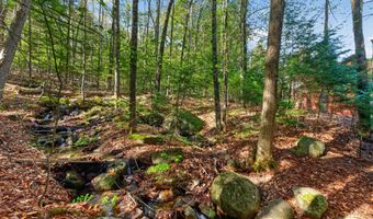 55 Lakeview Dr, Adirondack, NY 12808