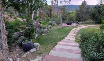 255 Little Pinon, Basalt, CO 81621