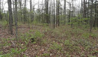 Long Branch Lane, Bee Branch, AR 72013