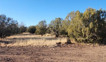 88- D Rose Ln, Ash Fork, AZ 86320