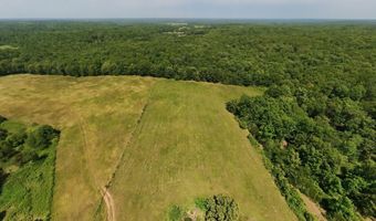 County Road 113, Alton, MO 65606
