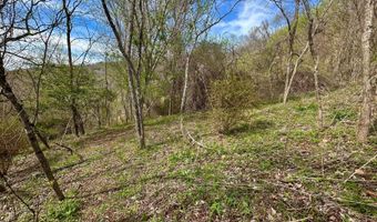 Sunset Mountain 12, Bakersville, NC 28705