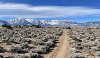 1290 Jo Ln, Gardnerville, NV 89410