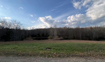 2483 County Road 314, Alton, MO 65606