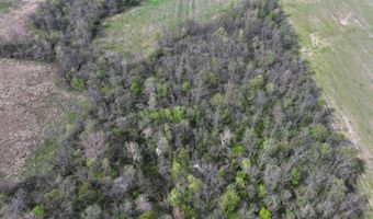 County Road 450 N, Albion, IL 62806
