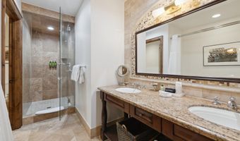 415 E Dean St Unit 1 Week 29, Aspen, CO 81611