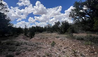 109 Of Twin Fawn Ln, Ash Fork, AZ 86320