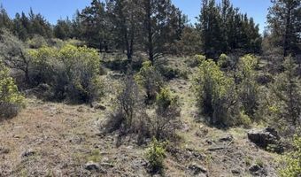 Bluebill Lane, Bonanza, OR 97623