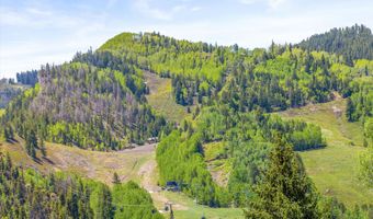 250 S Original St B, Aspen, CO 81611