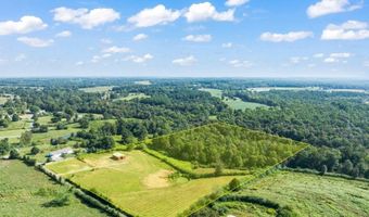 737 Brothers Rd, Albertville, AL 35951