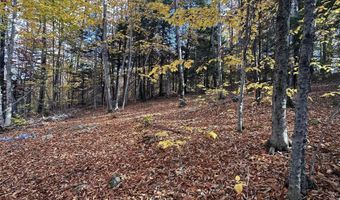 54 Onset Rd, Bennington, NH 03442
