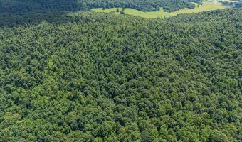 0 McKinley Guffey, Albany, KY 42602