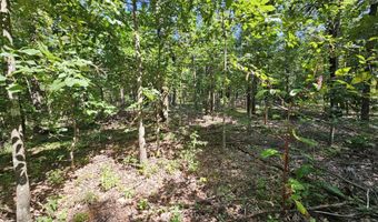 65 Acres Plainview Rd, Anderson, MO 64831