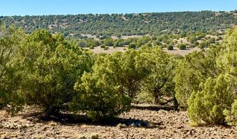 Kirkland DR 20 Acres, Concho, AZ 85924