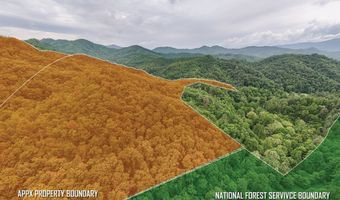 399 Shell Stand Rd, Almond, NC 28702