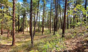 282 Pine Ln, Bayfield, CO 81122