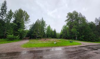 13376 Bug Creek Rd, Bigfork, MT 59911