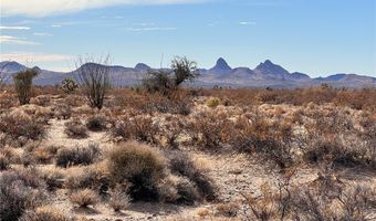 Lake Havasu Acres lot 166, Yucca, AZ 86438