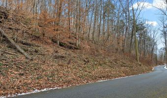 Fox Hollow Lane, Andersonville, TN 37705