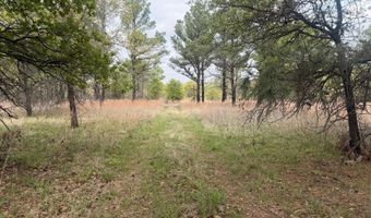 2548 County Road 2690, Alvord, TX 76225
