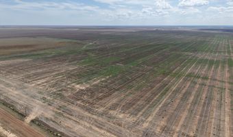 364 14 Acres Pullman Rd, Amarillo, TX 79118