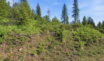 NNA Stone Rd Lot 2 20.0 Acres, Blanchard, ID 83804