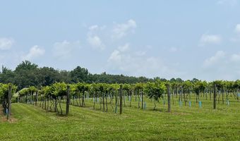 753 Vintage Dr, Baxter, TN 38544