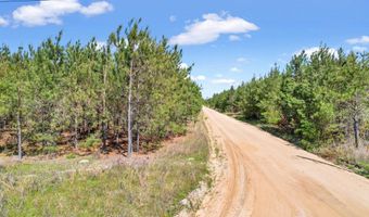 Tract 1 Sanderling, Alma, GA 31510