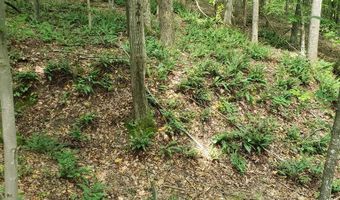 Wilkins Road, Alton, VA 24520
