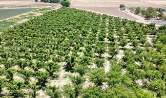 Wallace Road, Anthony, NM 88021