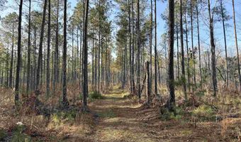 Highway 28, Abbeville, SC 29620