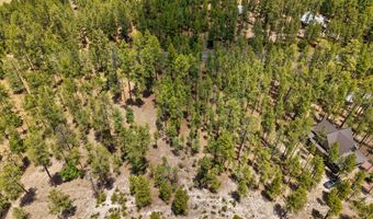 98 County Road 2266, Alpine, AZ 85920