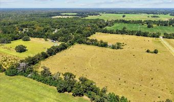 232 344 County Road 344, Bell, FL 32619